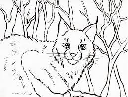 These downloadable bobcat coloring pages are a great way for kids to keep themselves entertained while boosting their creativity and matching skills. Bobcat Coloring Page Art Starts