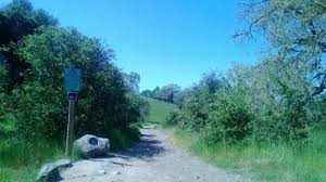 Oakland international airport, oak about 49 mi sse of crane creek regional park. Hole 7 Crane Creek Regional Park Rohnert Park Ca Disc Golf Courses Disc Golf Scene