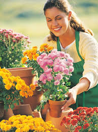 Check spelling or type a new query. Chicago Area Flower Shops And Florists