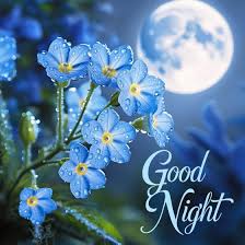 Good Night Images/Pics | Reels | Status | Wishes | Wishing you a peaceful  and dreamy night under the soft glow of the moon. May your dreams be as  beautiful as these