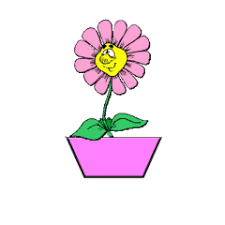 Pink roses animated with glitter. Dancing Flower Gif 9 Gif Images Download