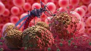 Malaria causes and risk factors. How People Infected By Malaria Blog By Medstdio Company