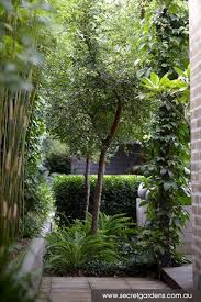 Contemporary Garden Design Kensington Secret Gardens Of Sydney Contemporary Garden Design Contemporary Garden Landscape Design
