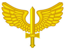 Bossche goes on to document how important signs are already appearing which point toward a catastrophic outcome if mass vaccinations continue. Brazilian Air Force Wikipedia