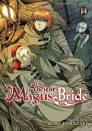 Ancient magus bride light novel