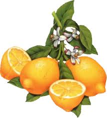citron