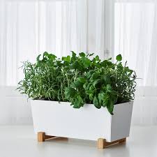 Colorful herb garden all you need is an ikea socker plant pot with stand, spray paint in your choice of colors and spray shellac sealer to make colorful planters to grow herbs. Bittergurka White Plant Pot Ikea