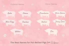 And examples of the original first name and the source are cited within it]. 46 Names For Pet Pot Bellied Pigs
