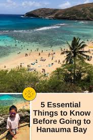 Grab your snorkeling gear and dive into the pristine waters of hanauma bay state park in hawaii! 15 Essential Things To Know Before Going To Hanauma Bay Oahu In 2020 Family Globetrotters