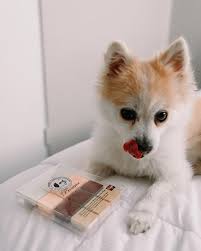 PRESERVE (@preserve_frozenlovebites) · South Orange, NJ