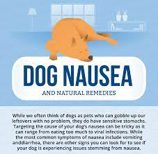Nausea and vomiting are common side effects of cancer and cancer treatment. Dog Nausea Natural Remedies Canna Pet