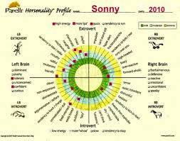 What Horsenality And Humanality Taught Me The Art Of Life