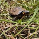 Oxford Mountain BioBlitz