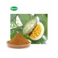 Image result for Voacanga chalotiana