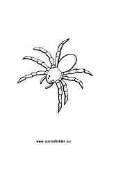 Ausmalbild Spinne Zum Kostenlosen Ausdrucken Und Ausmalen Fur Kinder Ausmalbilder Malvorlagen Ausmalen Sc In 2020 Ausmalen Ausmalbilder Ausmalbilder Tiere