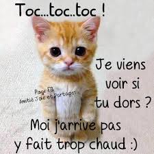 Je n'arrive pas a dormir. Pfff J Ai Trop Chaud Pour Dormir Un Peu De Paix Svp