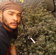 Matthew Ryerson in people