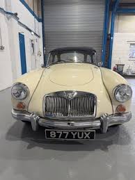 Image result for Old English White 1961 MG