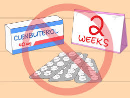 Simple Ways To Take Clenbuterol 11 Steps With Pictures