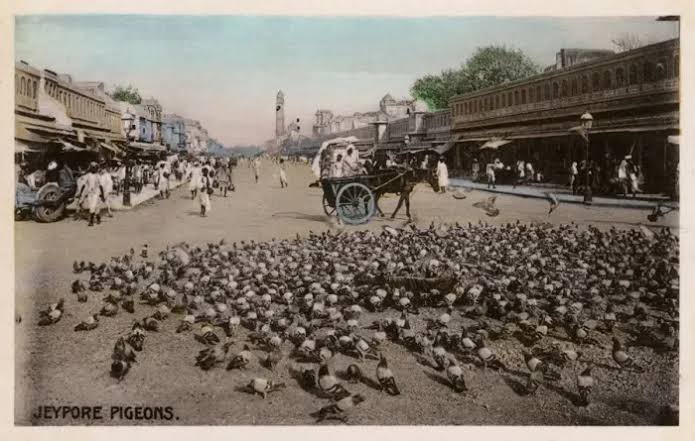 Jaipur Street Scene Print circa 1905 | Framed Print
