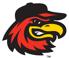 Rochester Red Wings Tickets Red Wings