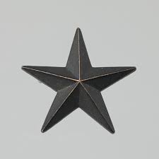 Image result for Insignia White 1990 US Government