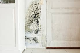 How do you check for mold in your home? What To Do If Your House Has Mold Or You Think It Does Us News