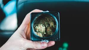 Un grupo de personas se encuentra en la plancha del monumento a la revolución fumando marihuana para exigir sea legalizado el uso lúdico de la hierba. La Industria Del Cannabis Llama A Legisladores A Regular Uso Recreativo