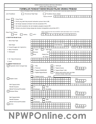 Aktivitas yang dilakukan 'sebatas' merekapitulasi data dan memindahkannya dalam format yang ditentukan baik melalui aplikasi offline maupun online. Formulir Pendaftaran Npwp Pribadi Format Excel Dan Pdf
