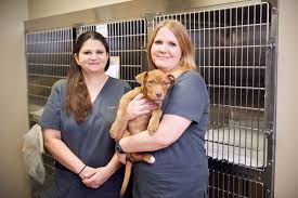 Find the right care, right when you need it. Care Credit Insurance Veterinary Specialty Services