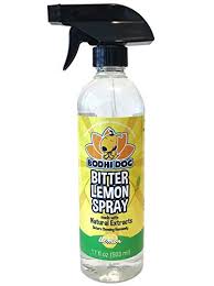 Essential Oils Sprays To Stop Your Dog From Peeing And Marking