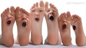 images?q=tbn:ANd9GcTQp7mjXSKo94i2-AdidK-Isa4AaPfiioRTPZ4LtheeKUu94AfW