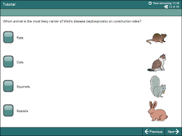 The blank workbook for standard 13 can be downloaded from the skills for care website (pdf format). Cscs Test Free Online Practice Questions Exams 2021