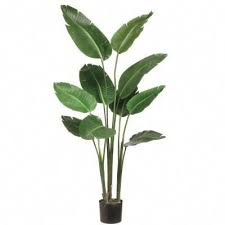 Guide And Tips On Outdoor Plants Outdoorplants Birds Of Paradise Plant Artificial Plants Artificial Flowers And Plants