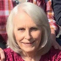 Judith Barham's Instagram, Twitter & Facebook