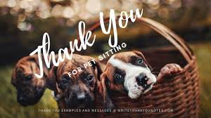 Pet care services divide into veterinary vs. Pet Sitting Thank You Note Examples Thanks For Looking After My Dog Cat Rabbit Gerbil