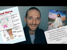 Everyone We Meet Everything We Experience In Life Are Learning Experiences Everything Which Gives Us Cranial Nerves Thing 1 Thing 2 Levels Of Understanding