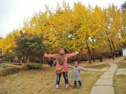 Kweather co telah merilis prediksi datangnya musim semi ke korea selatan. Travel Korea 2017 Part 4 Keindahan Musim Luruh Di Pulau Nami