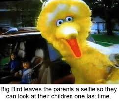 Pin By On Absurdist Memes For Nihilist Dreams Really Funny Memes Stupid Funny Memes Elmo Memes