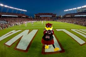 Williams Brice Stadium Columbia Sc 29201