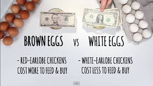 What S The Difference Between Brown And White Eggs White Eggs Brown Eggs Brown