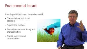 Termite terry's books for branch ii and branch iii are without exception the single best study material available to get licensed. Georgia Pesticide Exam Prep Wps Continuing Education