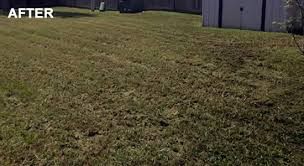 Call now for free estimate established in 2019. Lawn Mowing Services Texas Lawn Mowing The Lawn Dude Llc Killeen Texas