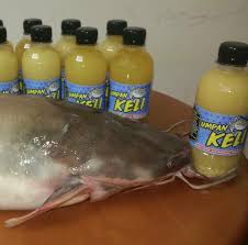 Nah berikut ini profil ikan air tawar ikan lele clarias sp ialah jenis ikan air tawar yang cukup populer. Umpan Ikan Keli Jenis Mata Kail Lasak Dan X Mudah Lucut Facebook