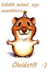 Áron, holnap buda, richárd, holnapután izidor ünnepli a névnapját. Pin By Monika Friewald On Cards Udvozlolapok Funny Birthday Cards Cute Animals Birthday Humor