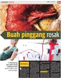 Menghidap kerosakan buah pinggang bukanlah bermakna anda sudah dikenakan hukuman mati. Buah Pinggang Rosak Klik