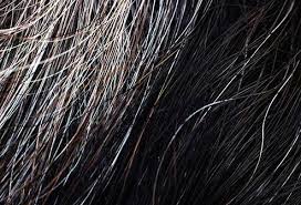 Can grey hair be turned black naturally? Gray Hair Facts What To Know To Look Your Best