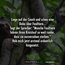 Liege Auf Der Couch Und Schau Eine Doko Uber Faultiere Kaufdex In 2020 Faultier Sarkasmus Spruche Lustige Zitate