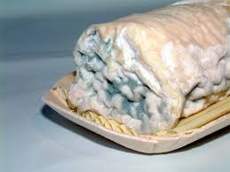Mycotoxines Les Dossiers Du Colley Alimentation Cereales Et Mycotoxines