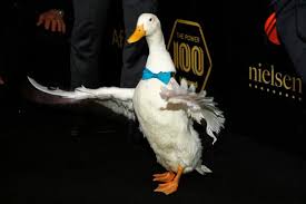 Aflac provides an online questionnaire that helps determine how much life insurance you need based on certain factors. How Global Pandemic Is Pushing Aflac To Evolve Past Talking Duck